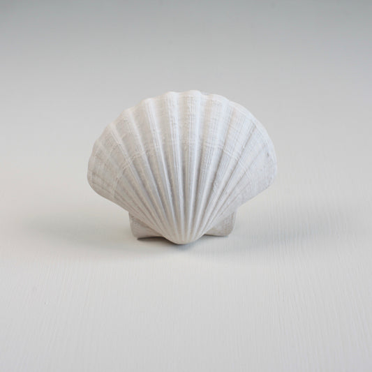 TEETHING TOY - CONCHA