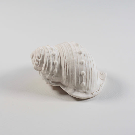 TEETHING TOY - CARACOLA